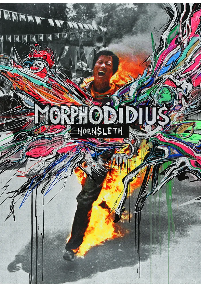 Morphodidius