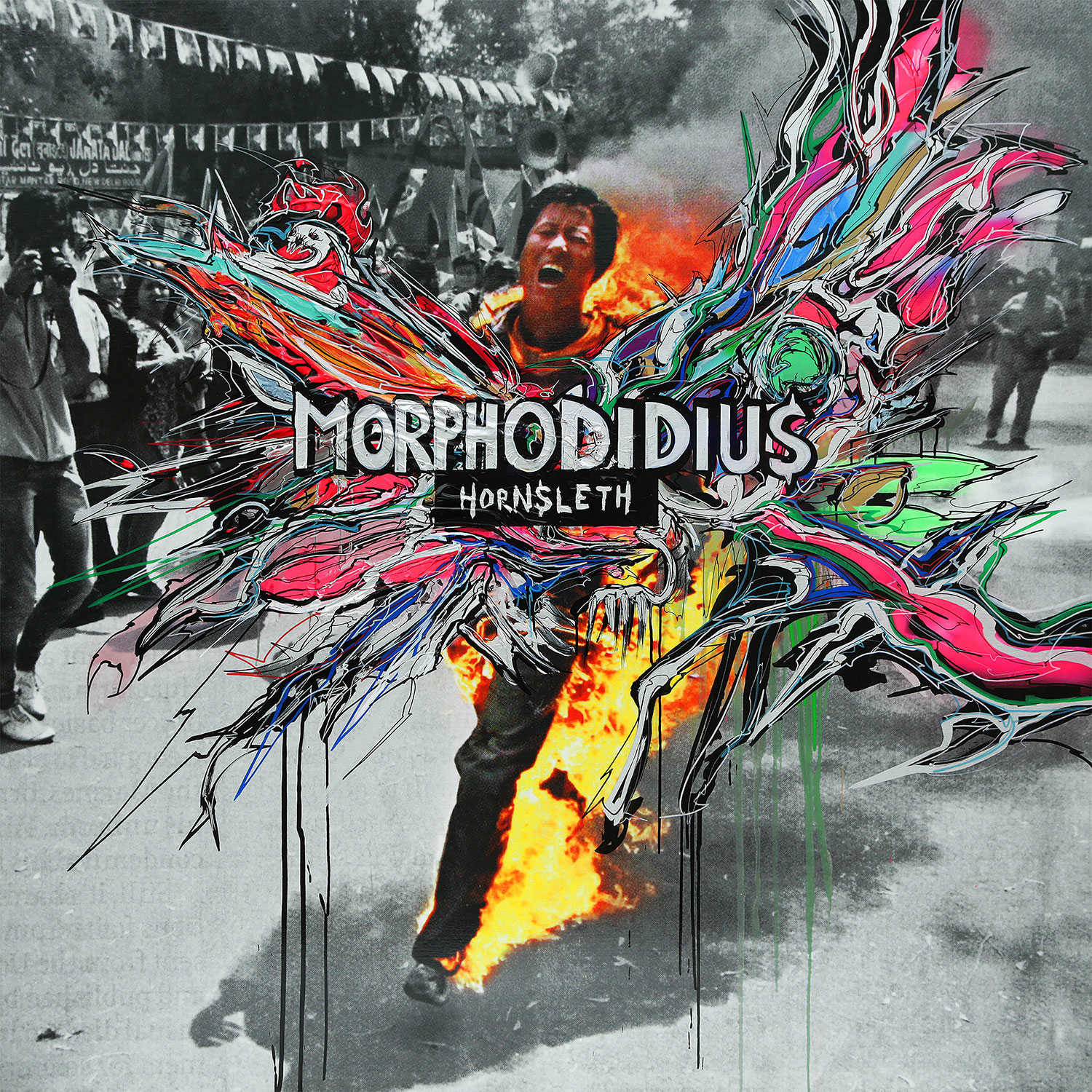 Morphodidius- 180 x 180 cm